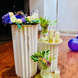 Party Props Rentals